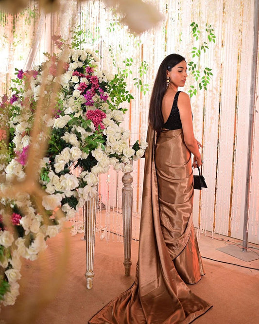 Aemal designer saree with Swarovski embellished blouse